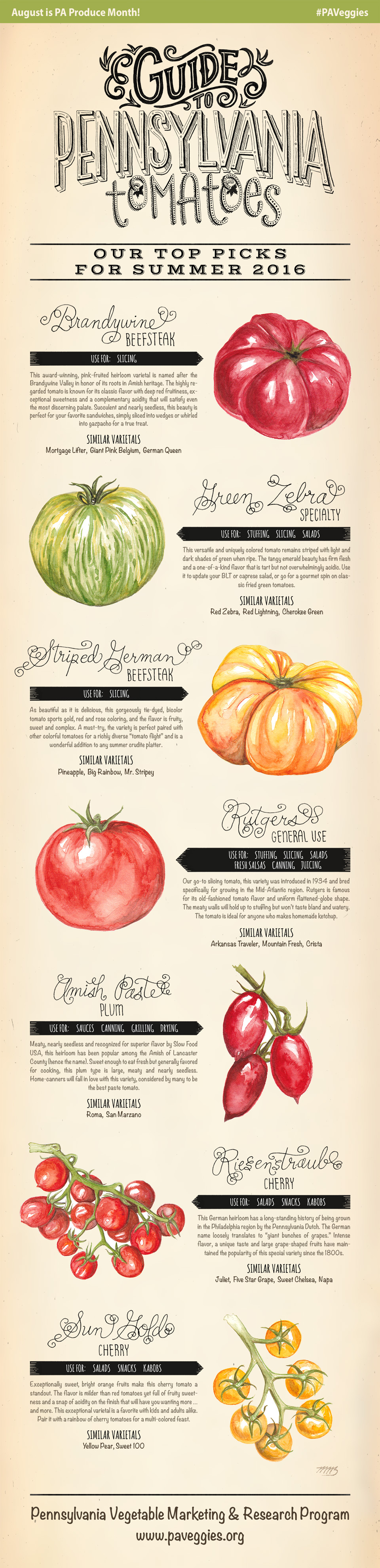 Guide to PA Tomatoes: Our Top Picks for Summer 2016