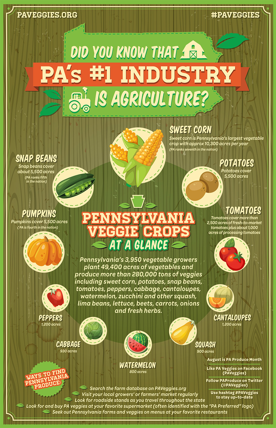pa-veggie-crops-at-a-glance