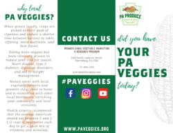 Pennsylvania Vegetables Brochure External