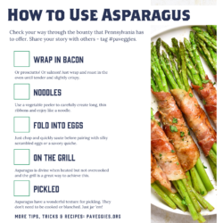 Asparagus