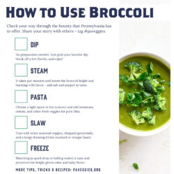 Broccoli