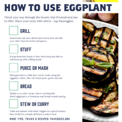 Eggplant