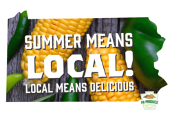 Summer Means Local