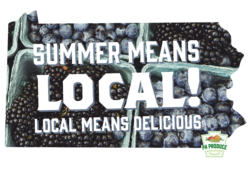 Summer Means Local