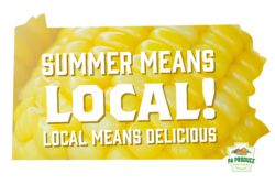 Summer Means Local