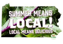 Summer Means Local