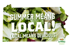 Summer Means Local