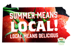 Summer Means Local