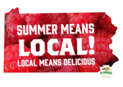 Summer Means Local