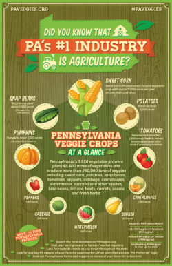 PA-Veggie-Crops-at-a-Glance