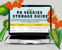 PA Veggies Storage Guide