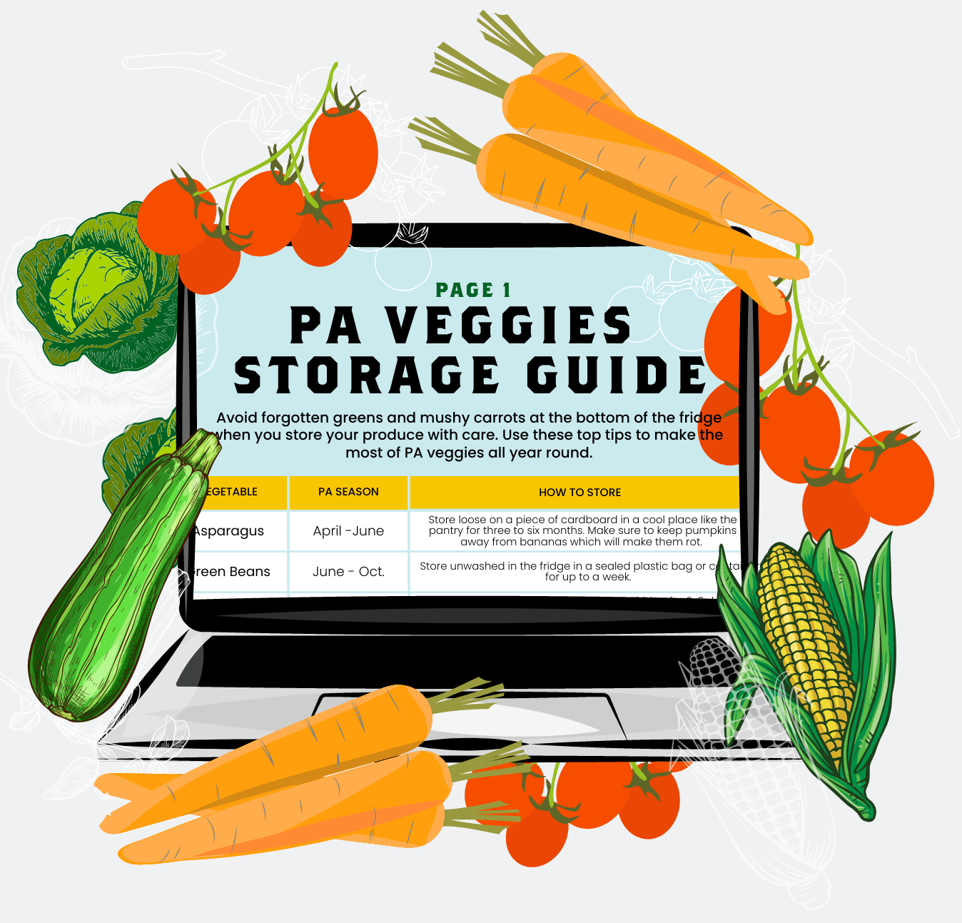 PA Veggies Storage Guide