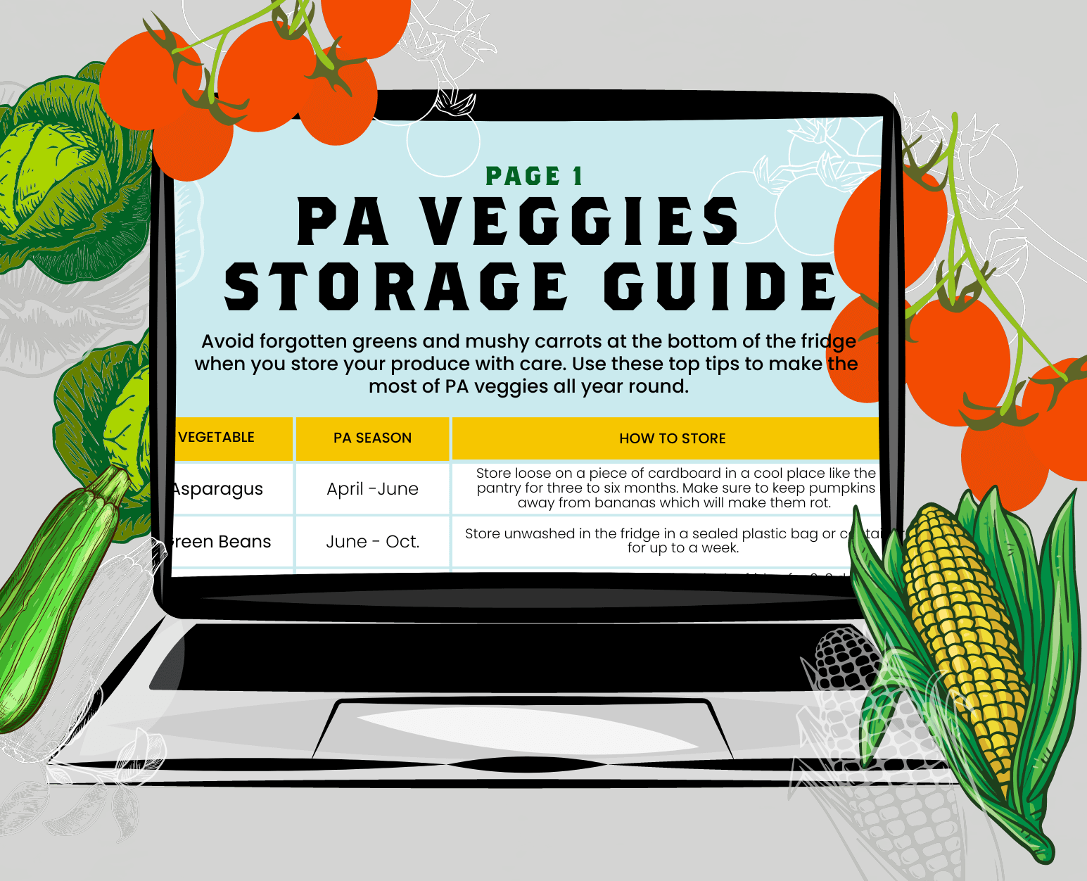 PA Veggies Storage Guide
