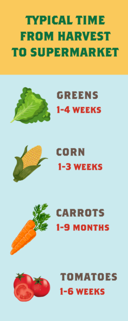 Typical time from harvest to supermarket