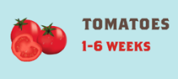 Tomatoes Typical time from harvest to supermarket