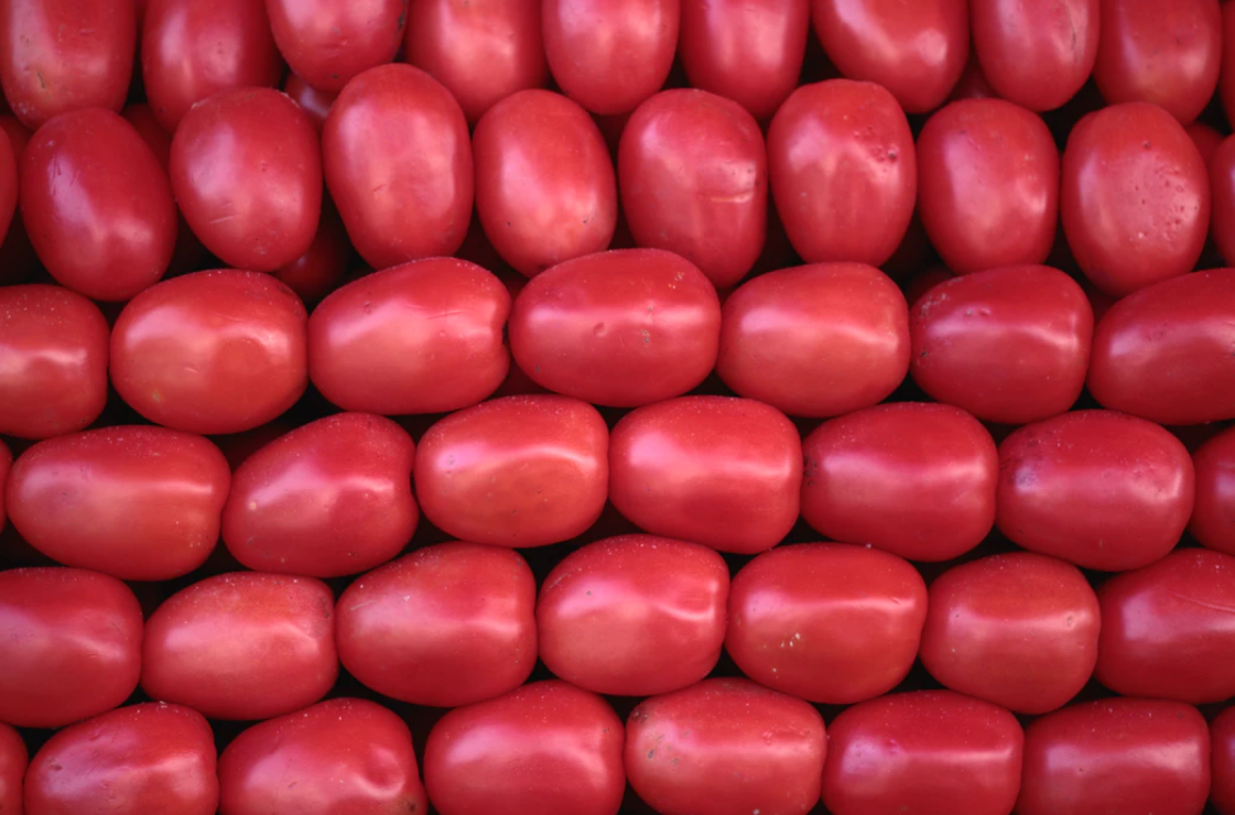 The Difference Between Plum and Roma Tomatoes - PA Veggies : PA Veggies