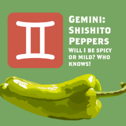 The Zodiac Signs as Pennsylvania Produce - Gemini