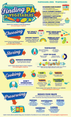 Veggie-Info-Overview-Infographic