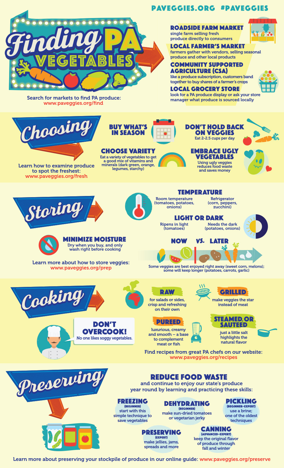 Veggie-Info-Overview-Infographic