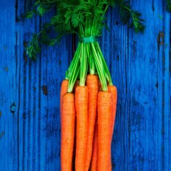 Carrots-Image