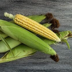 Corn-Image
