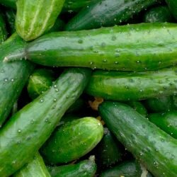 Cucumbers-Image