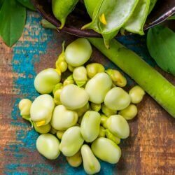 Lima-Beans-Image
