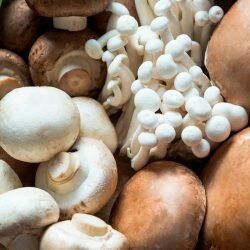 Mushrooms-Image