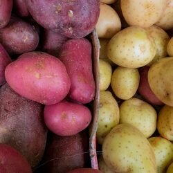 Potatoes-Image