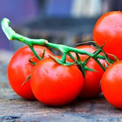 Tomatoes-Image