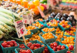 Fresh PA tomatoes