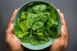 Fresh spinach loses vitamin B & C within the first 24 hours of harvest